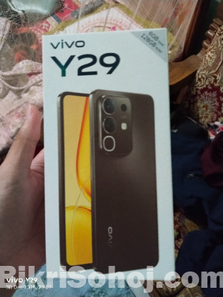 Vivo y 29